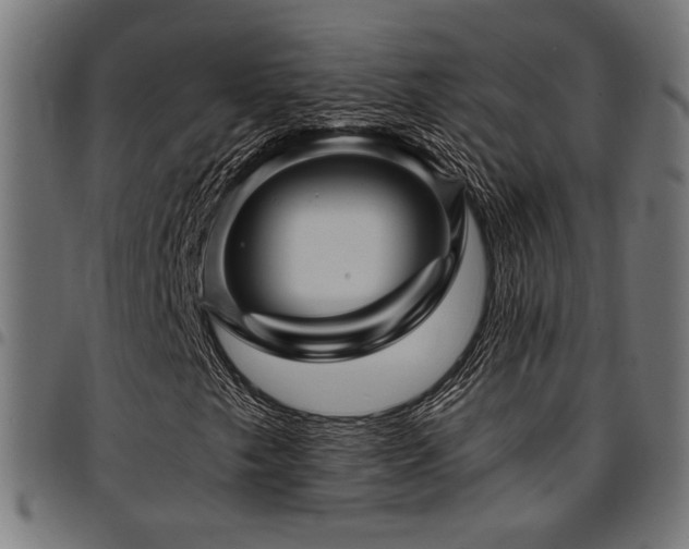 X0000095531249200712141455