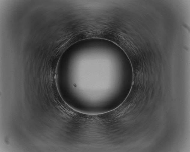 X0000095531250200712141455