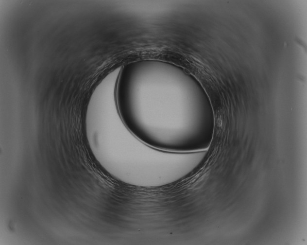 X0000095531252200712141455
