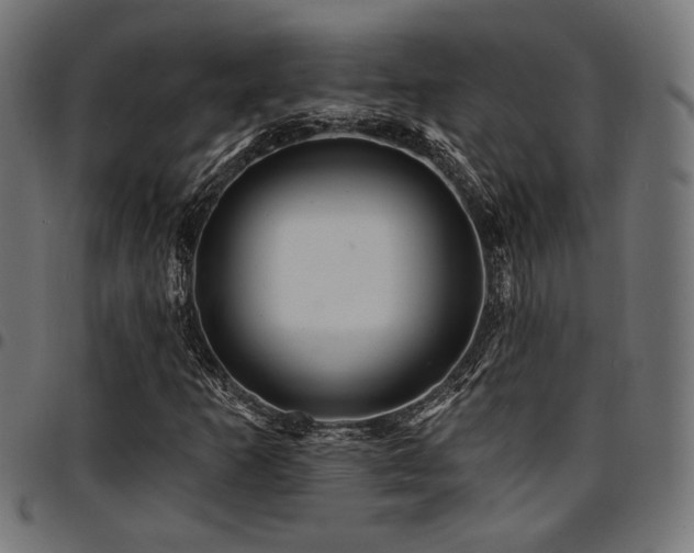 X0000095531253200712141455
