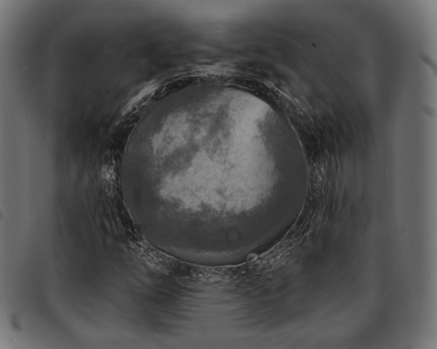 X0000095531254200712141455