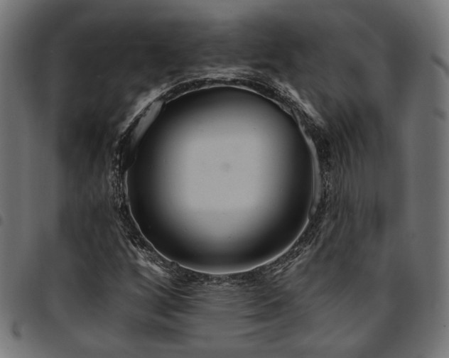 X0000095531256200712141455