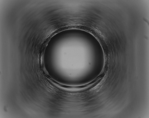 X0000095531257200712141455