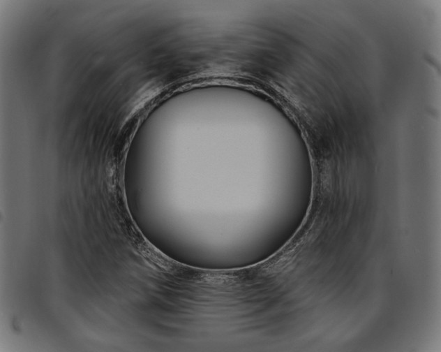 X0000095531258200712141455