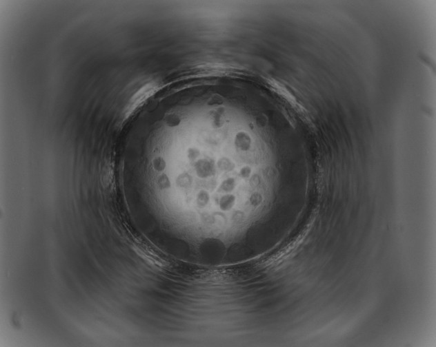 X0000095531259200712141455
