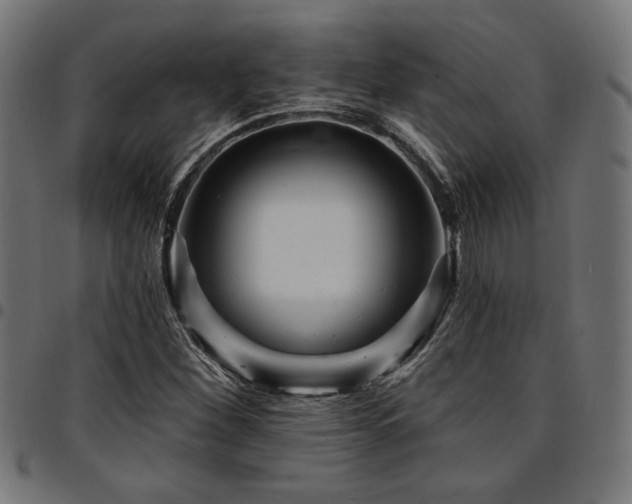 X0000095531260200712141455