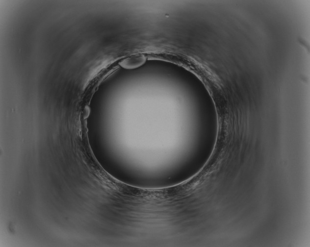 X0000095531262200712141455