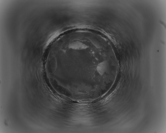 X0000095531263200712141454