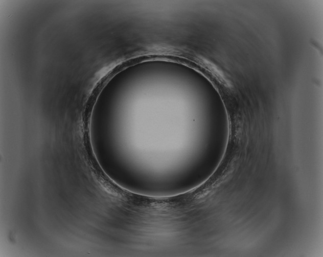 X0000095531264200712141454