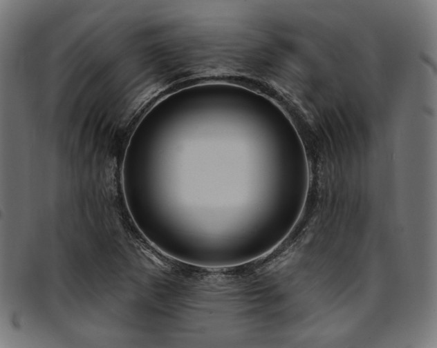 X0000095531265200712141454