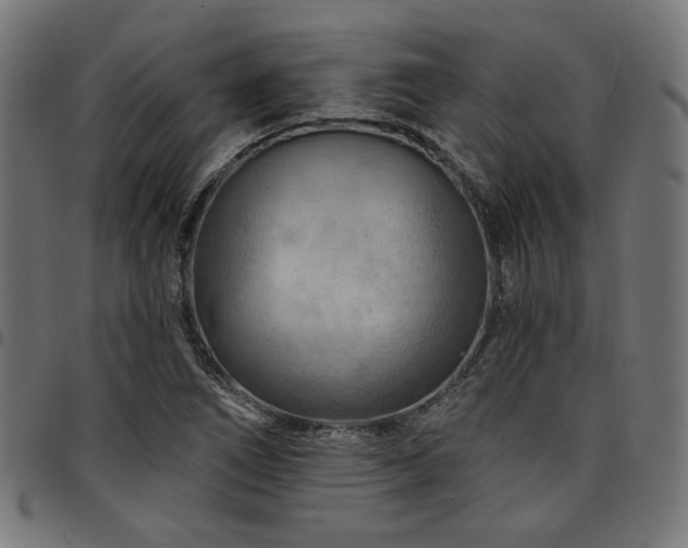 X0000095531266200712141454