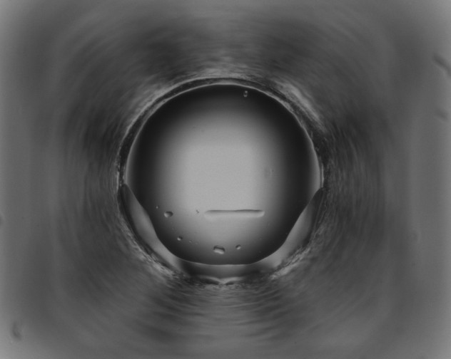 X0000095531268200712141454