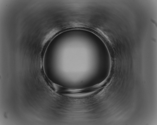 X0000095531269200712141454