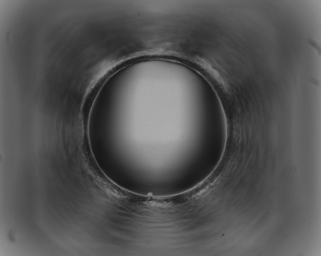 X0000095531270200712141454