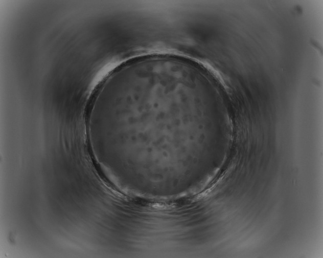 X0000095531271200712141454