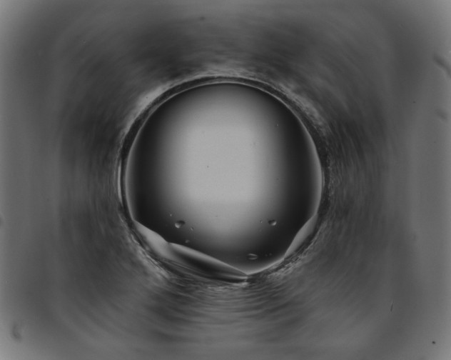 X0000095531272200712141454