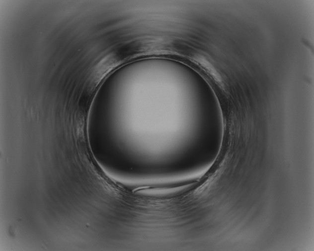 X0000095531273200712141454