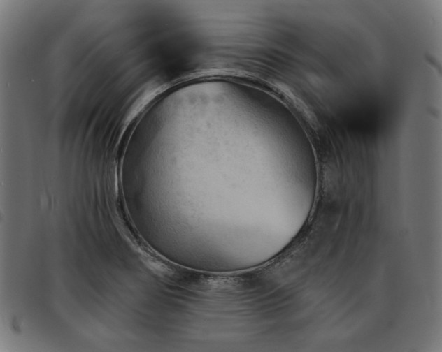 X0000095531274200712141454