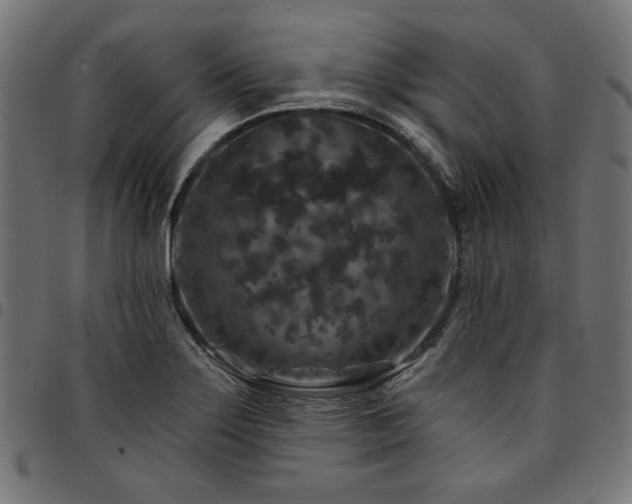 X0000095531275200712141454