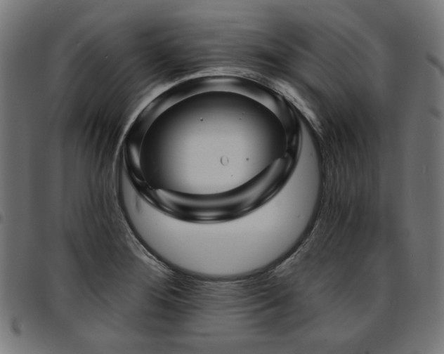 X0000095531276200712141454