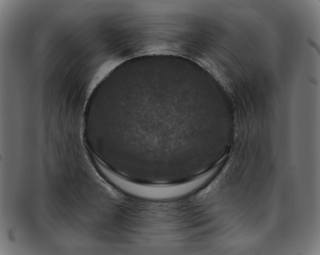 X0000095531277200712141454