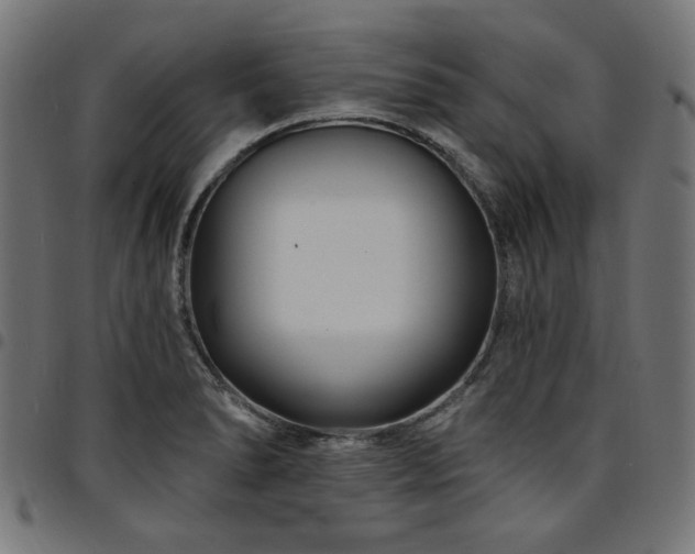 X0000095531278200712141454