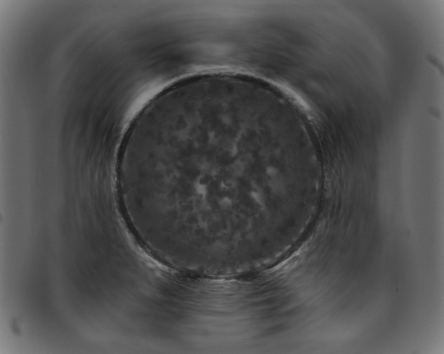X0000095531279200712141454