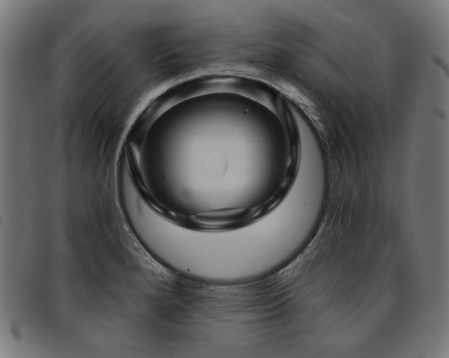 X0000095531280200712141454