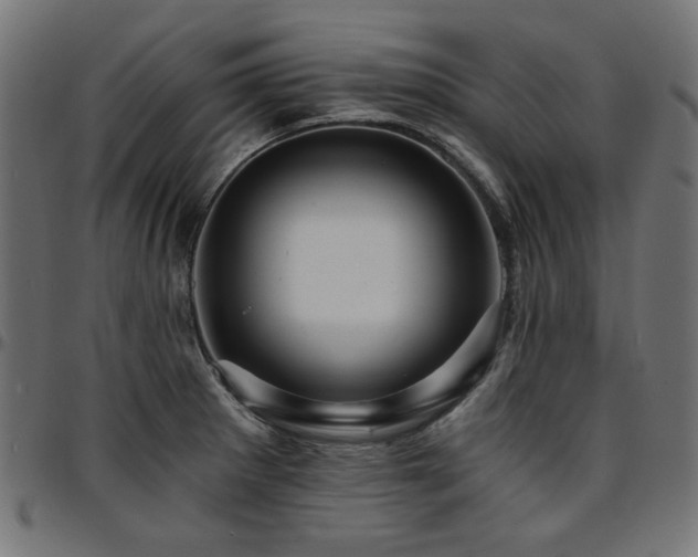 X0000095531281200712141454