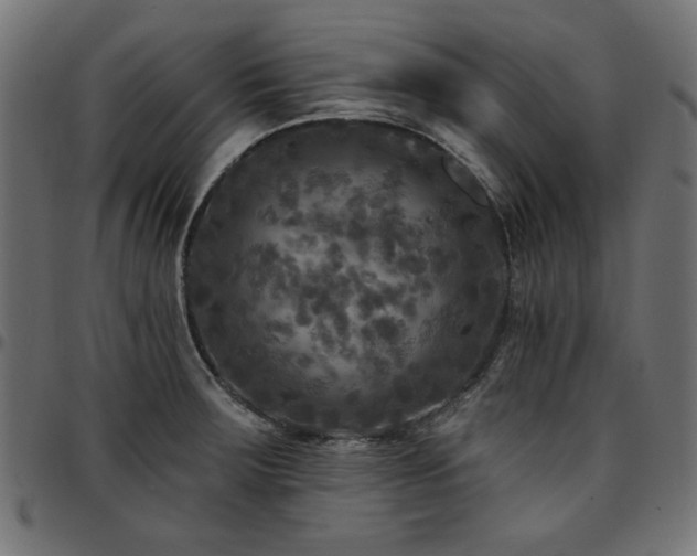 X0000095531283200712141454