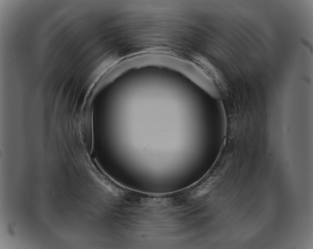 X0000095531284200712141454