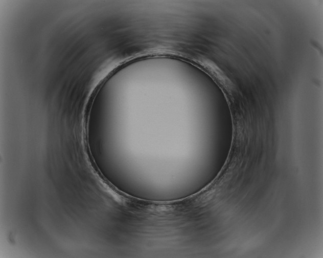 X0000095531286200712141454