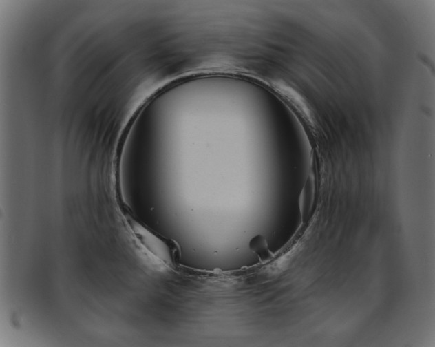 X0000095531288200712141454