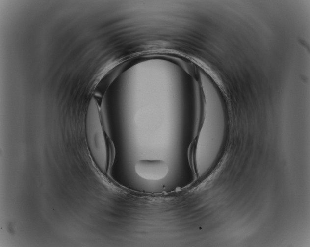 X0000095531289200712141454
