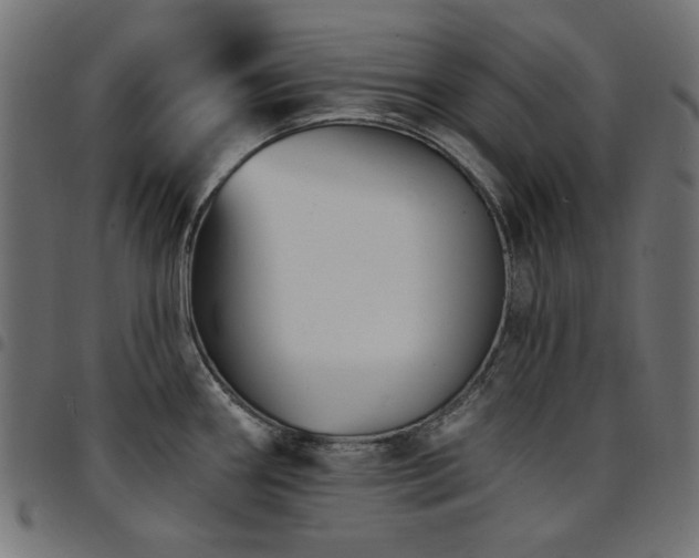 X0000095531290200712141454
