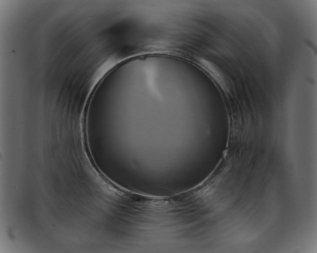 X0000095531291200712141454