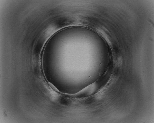 X0000095531292200712141454