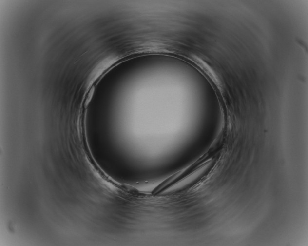X0000095531293200712141454