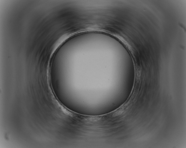X0000095531294200712141454