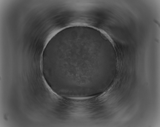 X0000095531295200712141454