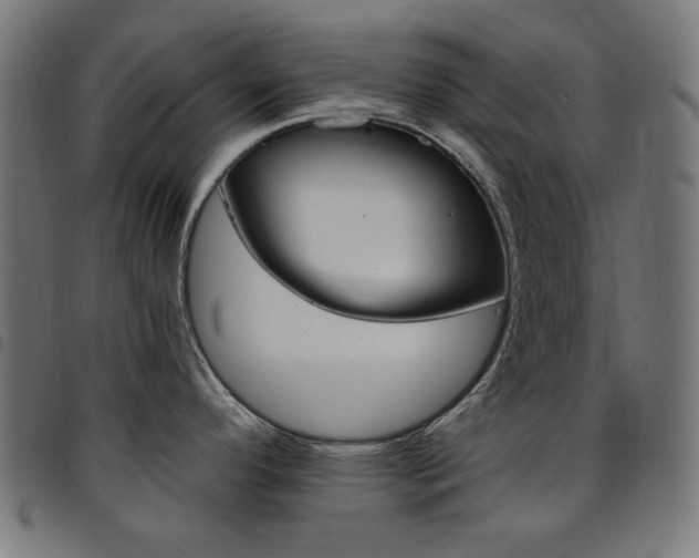 X0000095531296200712141454