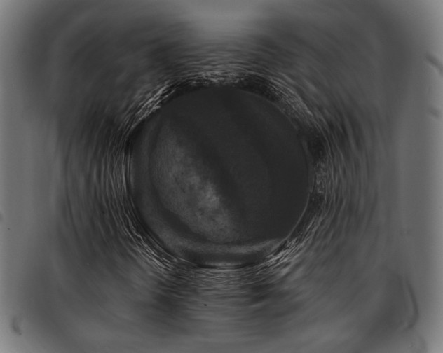 X0000095531298200712141453