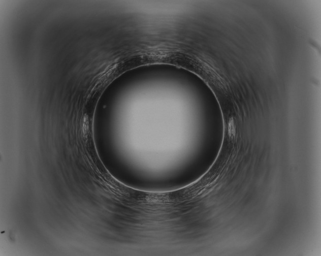 X0000095531299200712141453