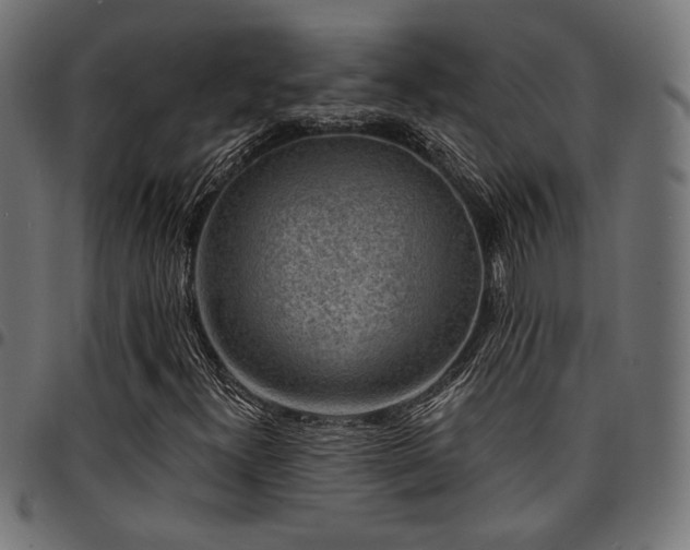 X0000095531300200712141453