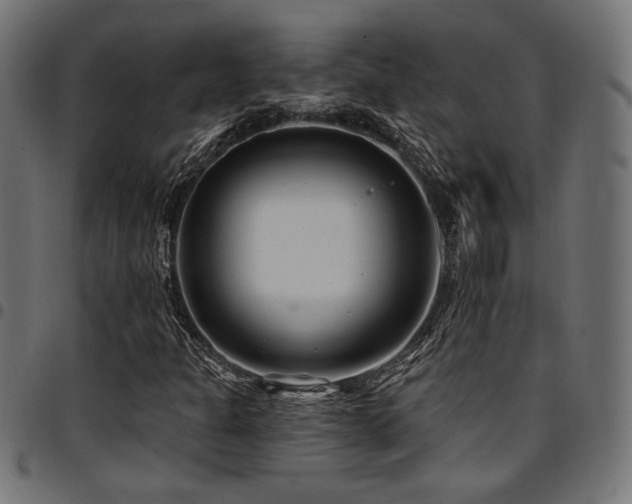 X0000095531301200712141453