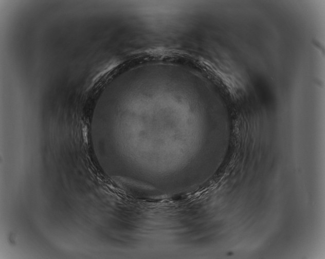 X0000095531302200712141453