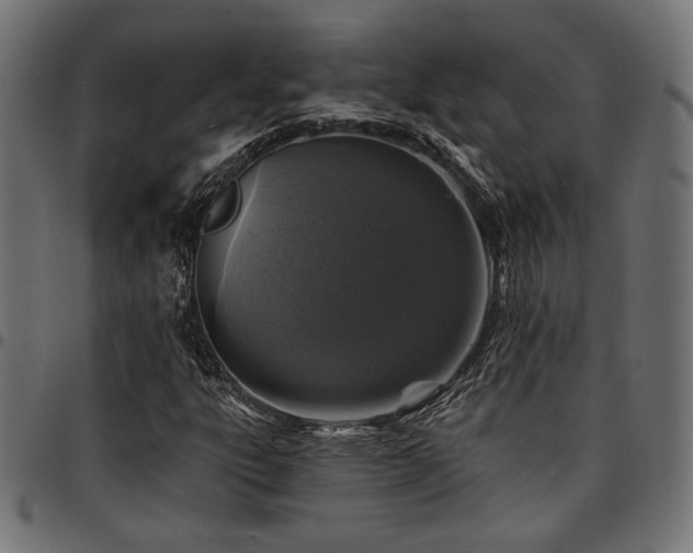 X0000095531303200712141453