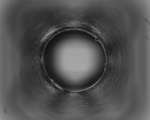 X0000095531304200712141453
