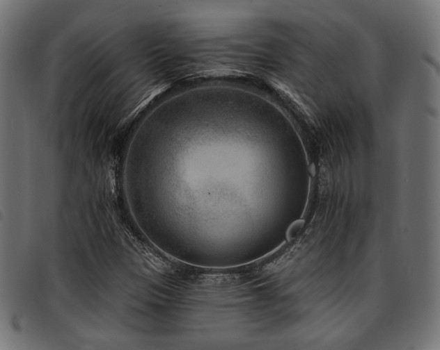 X0000095531305200712141453