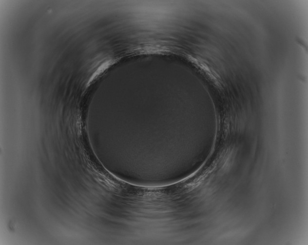 X0000095531306200712141453